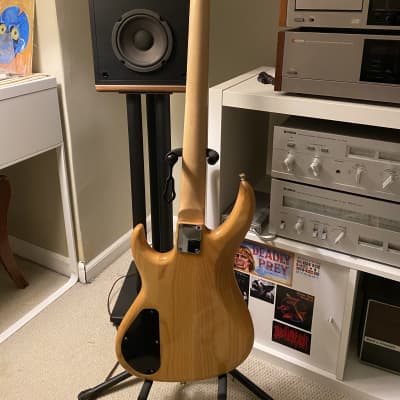 Carlo Robelli SWD - Vulfpeck Joe Dart Bass | Reverb Carlo Robelli SWD - Vulfpeck Joe Dart Bass | Reverb