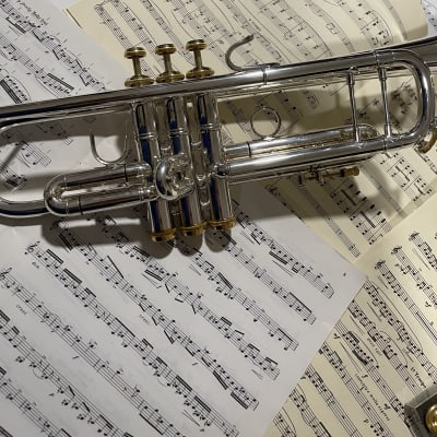 Bach 37 Stradivarius Bb Trumpet Silver with Onyx and Gold Trim image 6