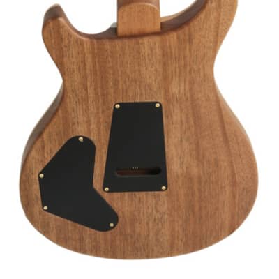 Paul Reed Smith Wood Library Dave Grissom DGT Platinum Metallic Satin Finish Brazilian Fingerboard image 3