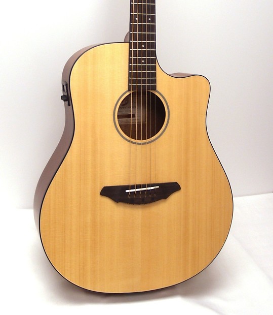 Breedlove cheap passport dreadnought