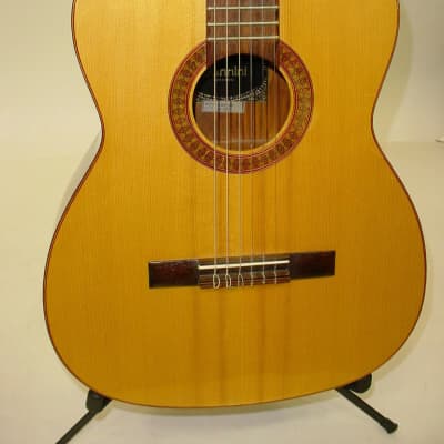Vintage 1974 Giannini AWN85 Classical Nylon String Acoustic Guitar w/ Case image 2