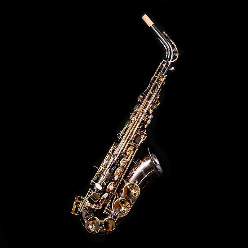 Selmer ''La Voix II'' SAS411B Alto Saxophone, Black Lacquer - NEW MODEL! |  Reverb