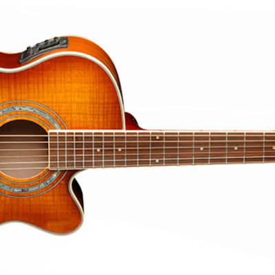 Washburn EA15ITB Mini-Jumbo Cutaway Acoustic/Electric Guitar (Ice Tea Burst) EA15 ITB for sale