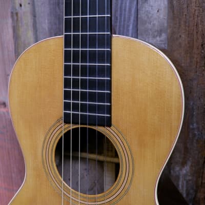 Washburn Model 1897 #111 Parlor Guitar 1903-1904 - Natural image 6