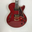 D'Angelico Excel SS Semi Hollow guitar with Original Hard Shell Case