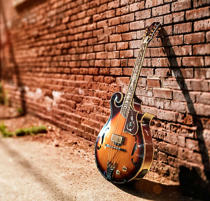 One-Of-A-Kind F-5 Concert mandocello by Antonio Scaparelli image 1