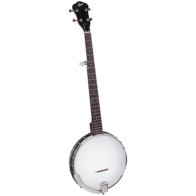 Rover RB-20 5-string open back banjo for sale