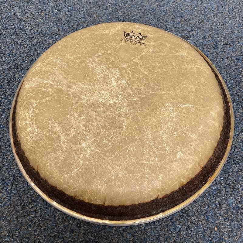RARE Remo Mondo FiberSkyn 11 RARE Remo Mondo FiberSkyn 11