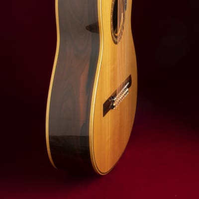 Immagine 1981 Sergei de Jonge 10 String Classical Guitar - Brazilian Rosewood, Luthier Letter of Appraisal - 13