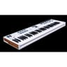 Arturia KeyLab Essential 61 Key MIDI Keyboard