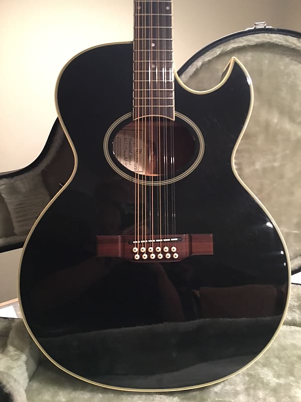 Washburn Festival Series EA 20-12B Black Acoustic Electric