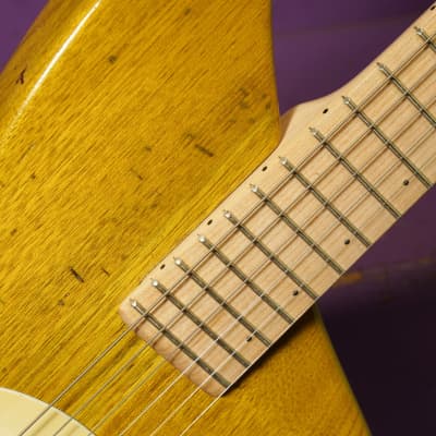 2023 Jason Twigg-Smith "Astro" Electric Guitar (VIDEO! Ready to Go) image 5
