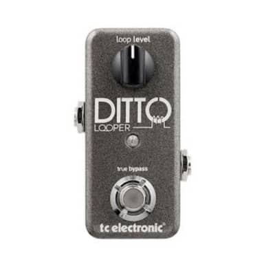ギター TC ELECTRONIC Ditto Looper GOLD Limited TC Electronics Ditto Limited Edition Gold Looper Pedal
