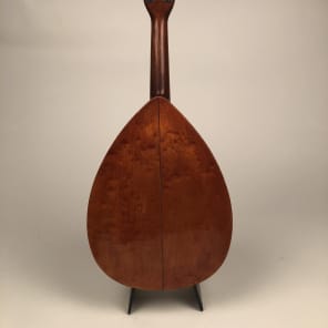 1920's S.S. Stewart Professional Birdseye Spruce & Mahogany Mandolin image 6