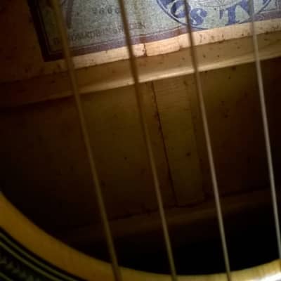 Goya GG174 Acoustic Guitar image 4