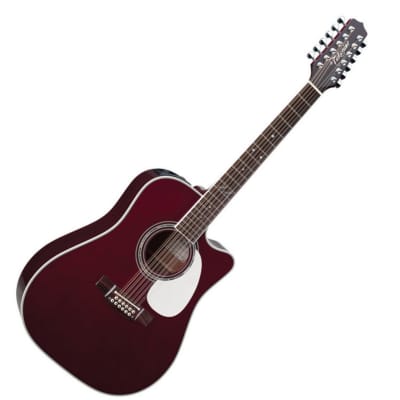 Takamine JJ325SRC-12 Acoustic Guitar (JJ325SRC-12) image 1