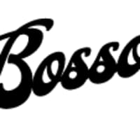 Bosson Guitare