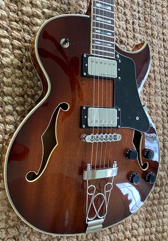 IYV IJZ-300 TSB Semi Hollow Body Acoustic Electric Guitar