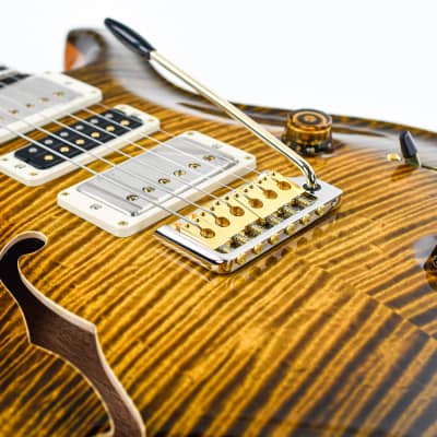 PRS Private Stock Special 22 Semi Hollow Tiger Eye Glow image 7