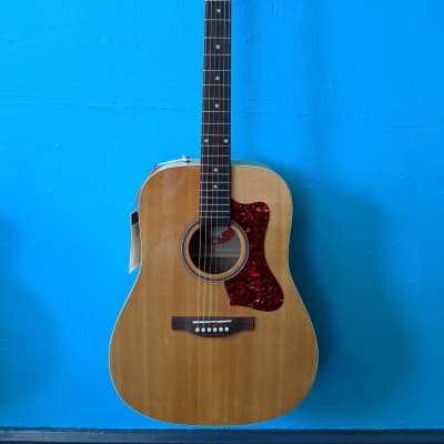 Norman B20 Natural GT 2023 Made in Canada for sale