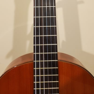 1973 Hernandis Grade 1A Classical Guitar image 9