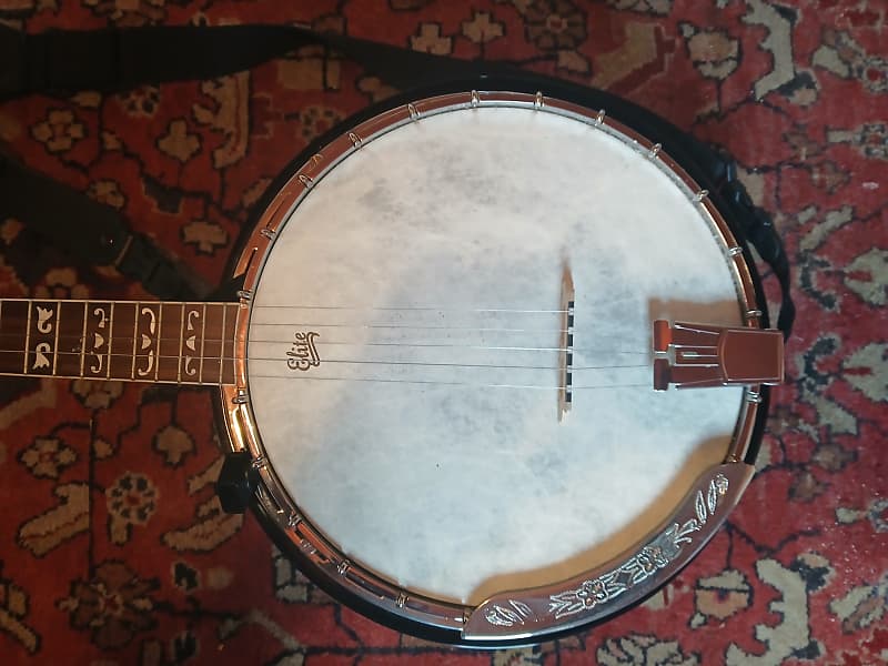 Aria アリア SB-600 5弦 デラックスバンジョー　BANJO Aria アリア SB-600 5弦 デラックスバンジョー BANJO - メルカリ