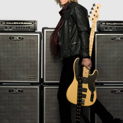 Gallien-Krueger Tom Hamilton's Aerosmith, 2009 "Dummy" Fusion 550   Bass Amp Head, Non-Functioning, Authenticated! (#105) image 2