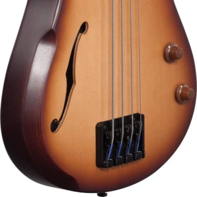 Ibanez SRH500F 4-String Fretless Bass Guitar, Natural Browned Burst Flat image 4