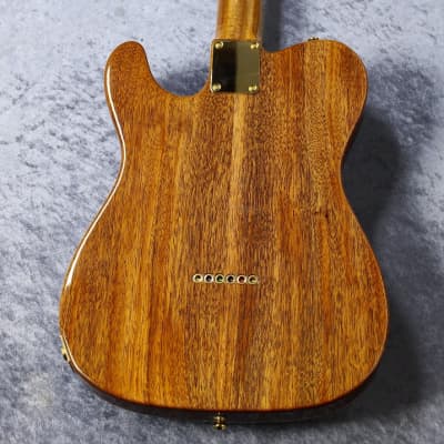 FREEDOM CUSTOM GUITAR RESEARCH BROWN PEPPER Premium Grade Flame Maple Top ~清流(Seiryu) Gradation~ #23011158P≒2.73㎏[One off model][Made in Japan] image 10