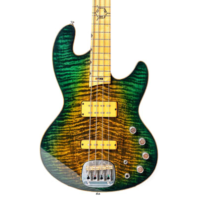 Valiant Guitars TNT Bass-4 Wild Flowers | Reverb