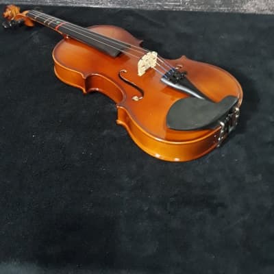 Carlo Robelli P10534 Violin with Case and Bow (King of Prussia, PA) image 8