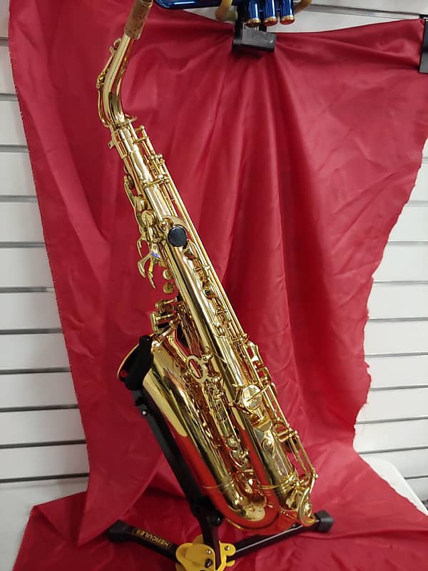 Xinghai Student Alto Saxophone (Buffalo Grove, IL) Reverb
