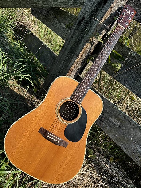 Alvarez Yari Anniversary Model DY-39 1987 - Natural image 1