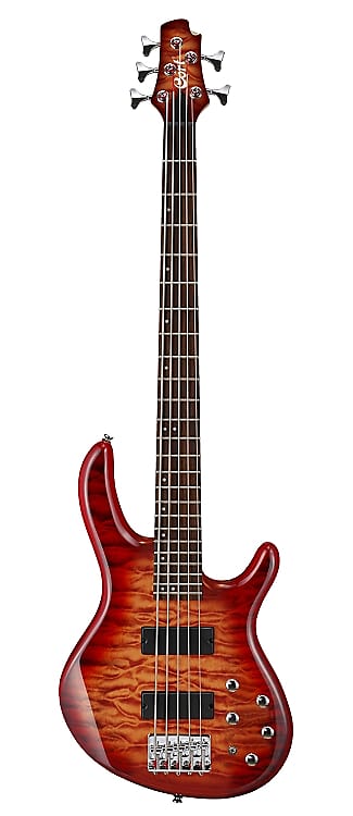 Cort Action Dlx V-Plus-CRS 5 String, Markbass Eq, Free Shipping (B-Stock / Blem) image 1