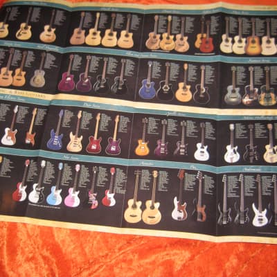 Luna Guitar Catalog and Colorful Detailed Wall Poster from 2009 image 4