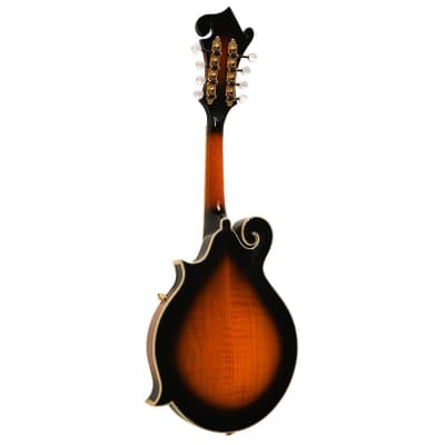 Gold Tone F-Style Mandolin, Carved Spruce Top, Two Tone Tobacco image 4