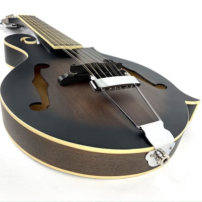 Gold Tone F12 F-Style 12-String Mando-Guitar 2021 Tobacco Sunburst Satin image 4