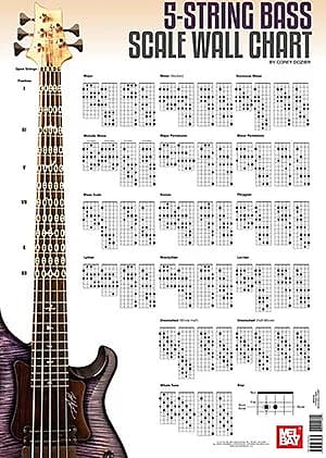 5-String Bass Scale Wall Chart | Reverb