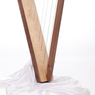 Special Edition Fullsicle Harp w/ Book & DVD - Walnut image 2