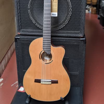 NEW! Angel Lopez Eresma  Acoustic/Electric Classical Guitar With Gig Bag - Looks/Plays/Sounds Great! image 1