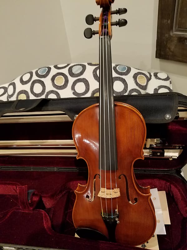 Beautiful Sofia Amadeus Violin!