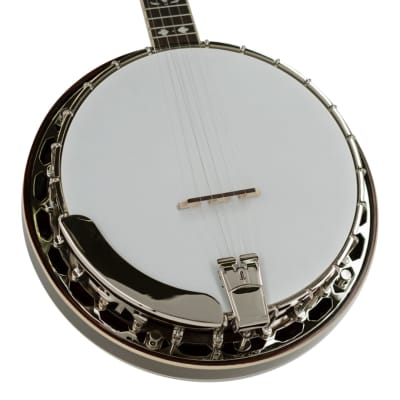 Recording King Songster Closed Back 5-String Banjo with Rolled Brass Tone Ring image 2