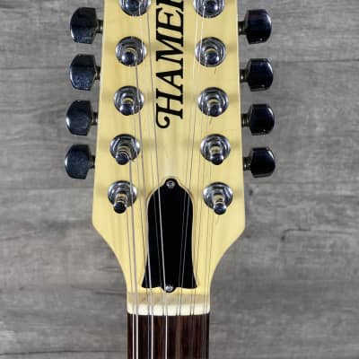 Hamer 12-String Prototype 1983 - Ice Pearl image 11