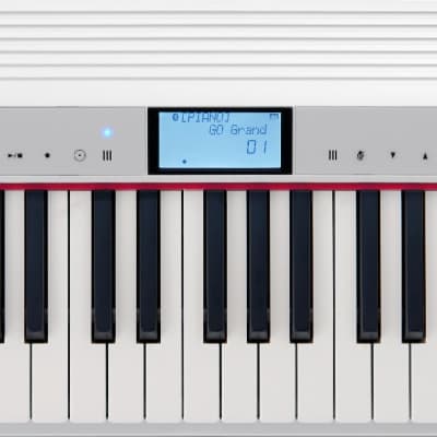 Roland GO-61P-A GO:PIANO with Alexa Built-in 61-Key Digital Piano