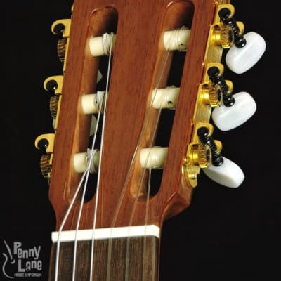 Teton STC105NT Solid Cedar Top Acoustic Classical Guitar image 7