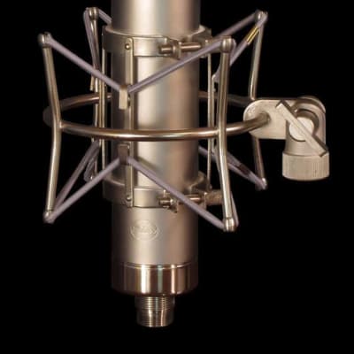 Peluso Microphones P-12