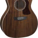 Washburn HG12S Natural Mahogany Top Acoustic Guitar