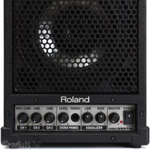Roland CM-30 CUBE 30W 6.5 inch 2-way Portable Active Monitor image 3