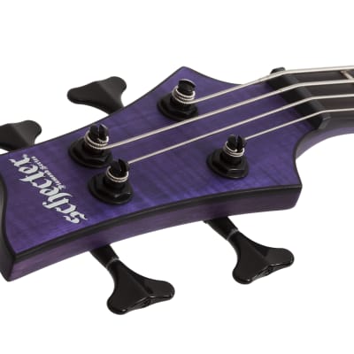 Schecter C-4 GT Bass LH Satin Trans Purple image 12