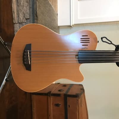 Godin A5 Ultra Semi-Acoustic Fretless 5-String Bass Natural image 2